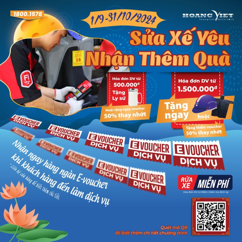 HEAD Hoàng Việt 5